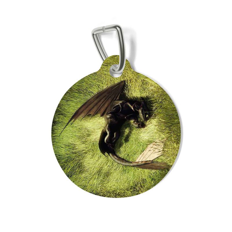 Zavstyle Toothless How To Train Your Dragon Pet Tag